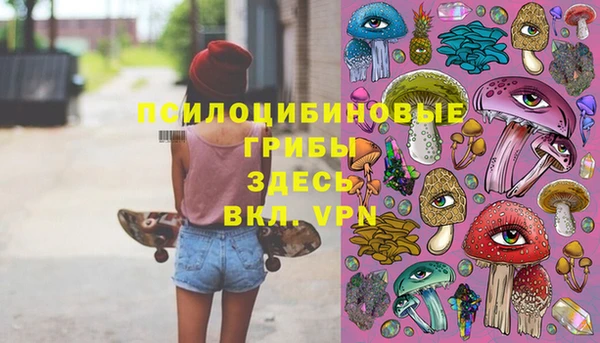 прущие крисы Каменка