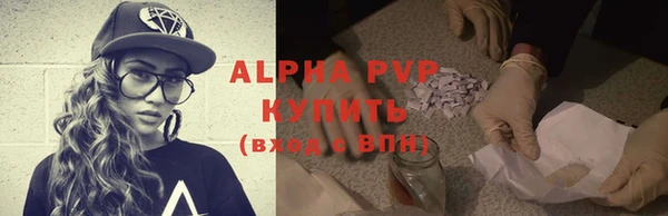 мяу мяу мука Каменногорск