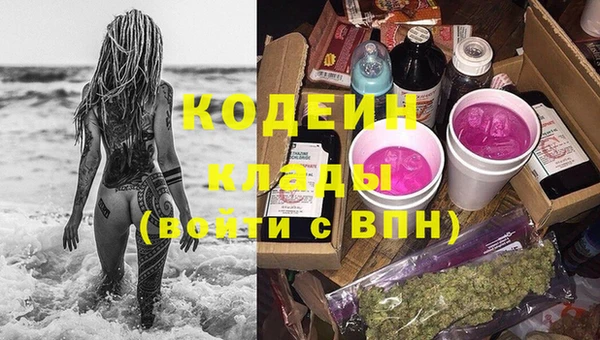 прущие крисы Каменка